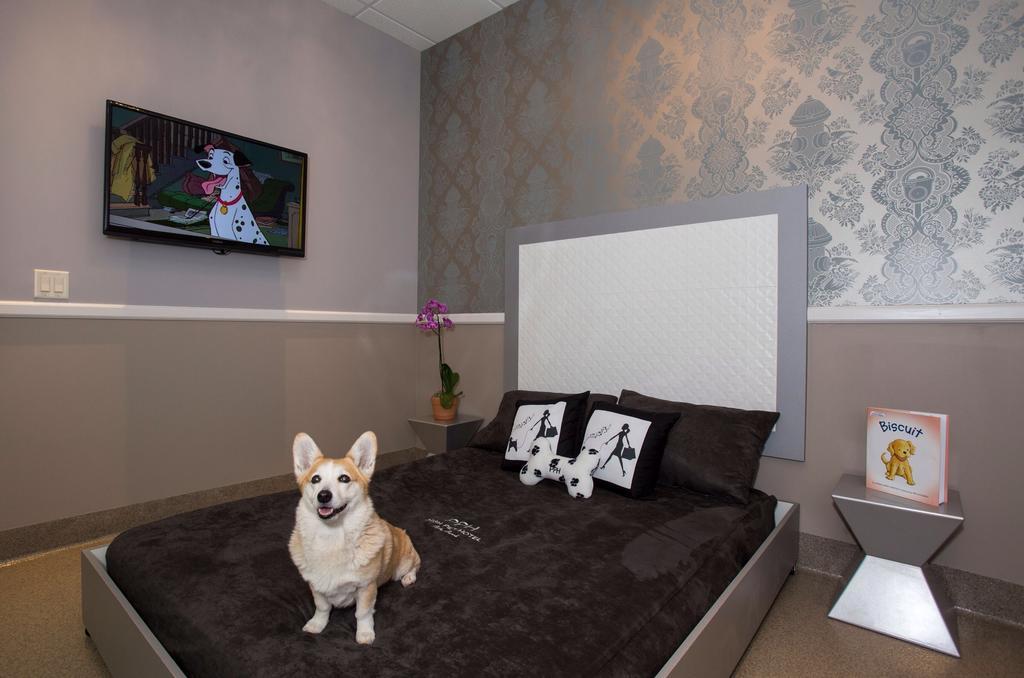 Freer Motel Zewnętrze zdjęcie